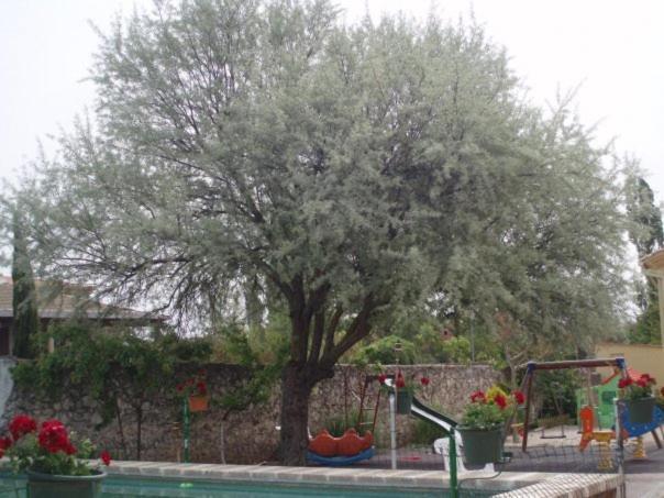 Arcas De Agua Hotel Exterior photo